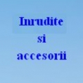Accesorii si inrudite